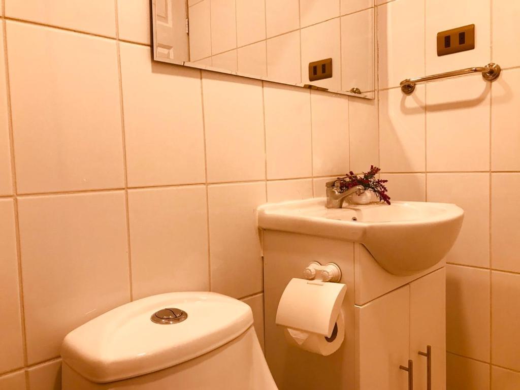 Apart Hotel Don Domingo Τεμούκο Εξωτερικό φωτογραφία